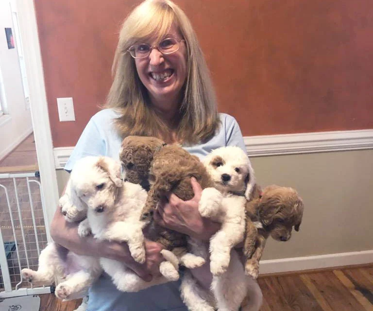 Sandy, Founder of Bernedoodle Puppies Center